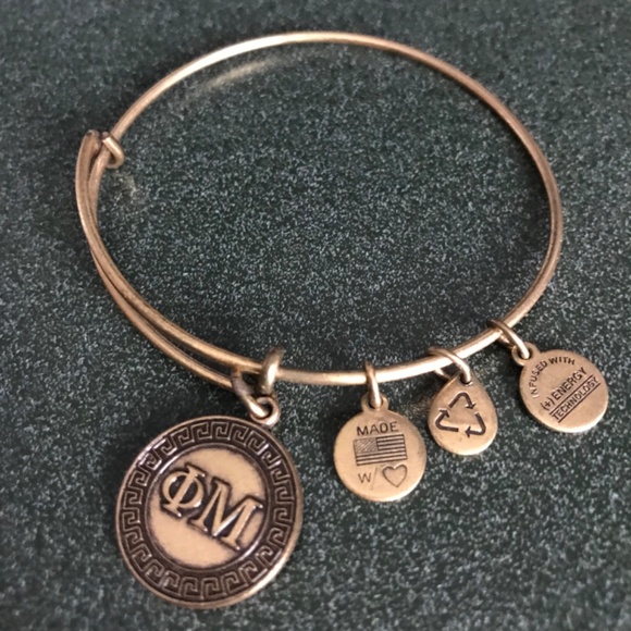 Alex and Ani Expandable Wire Bangle Bracelet 2015 - Picture 3 of 13